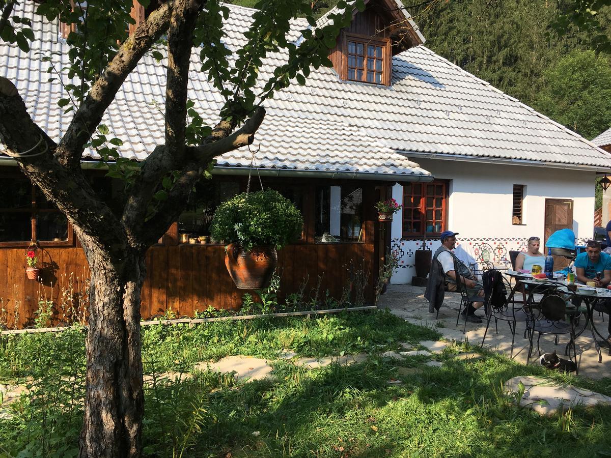 Gospodaria Lui Nea Ion Vama Buzăului Exterior photo