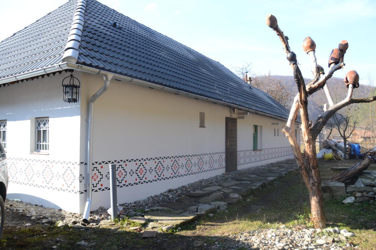 Gospodaria Lui Nea Ion Vama Buzăului Exterior photo