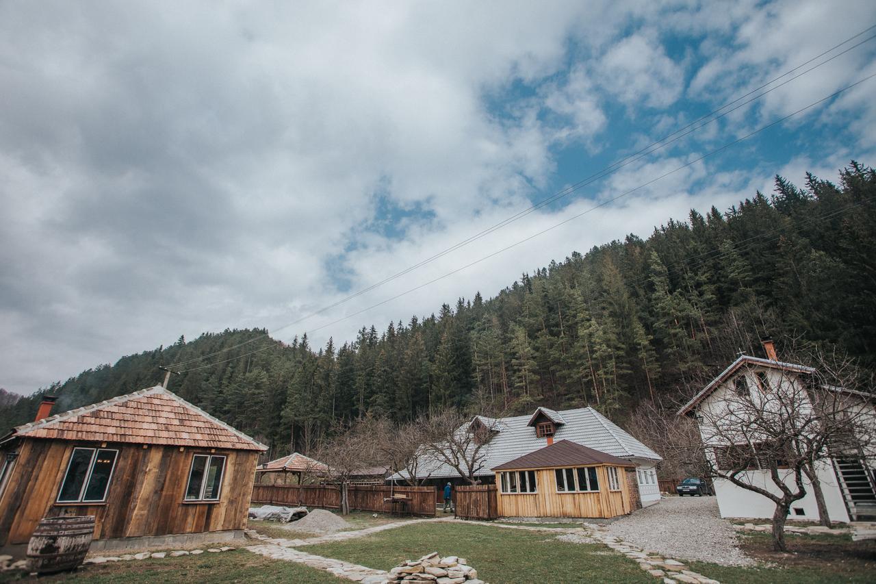 Gospodaria Lui Nea Ion Vama Buzăului Exterior photo