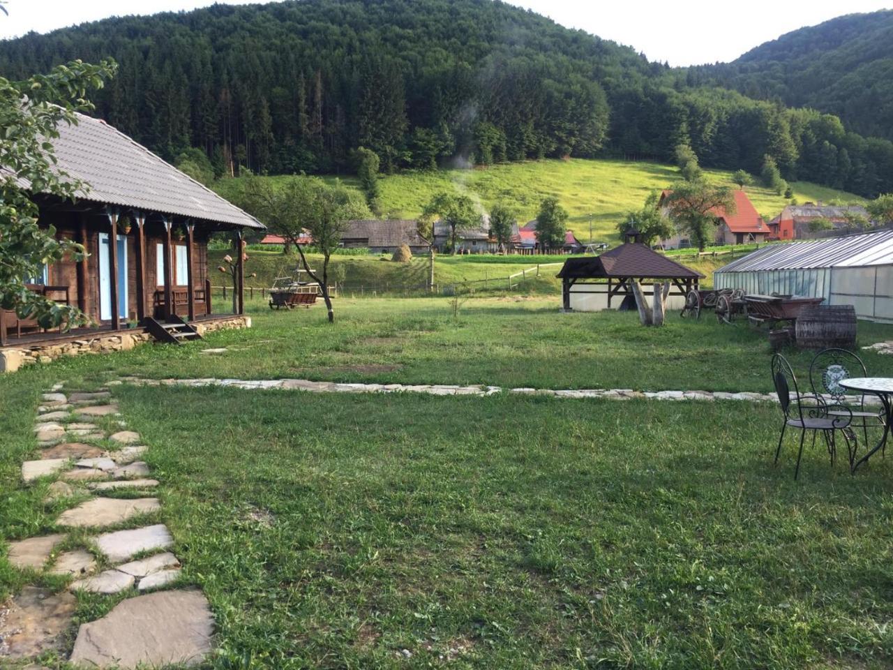Gospodaria Lui Nea Ion Vama Buzăului Exterior photo