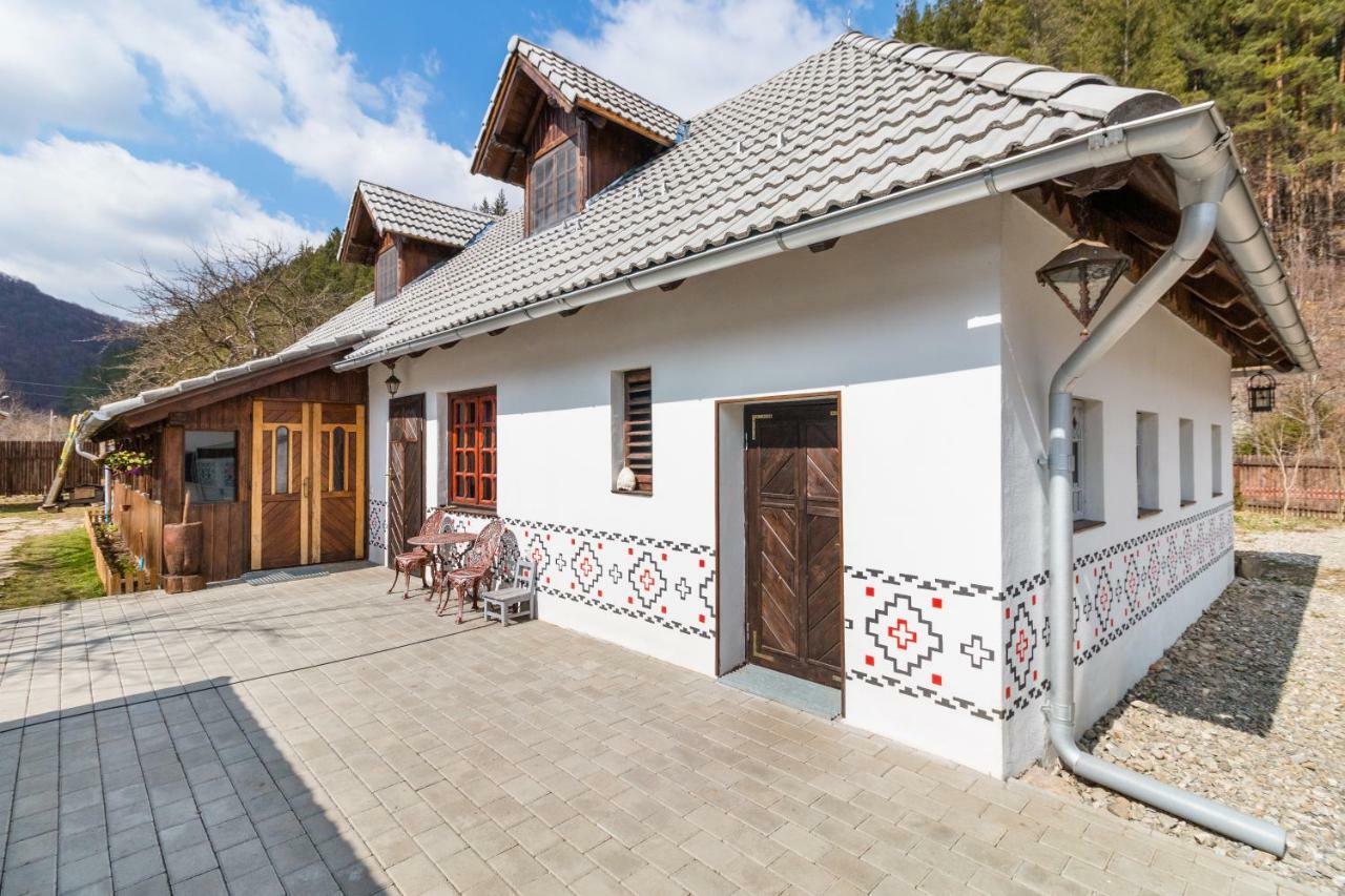 Gospodaria Lui Nea Ion Vama Buzăului Exterior photo