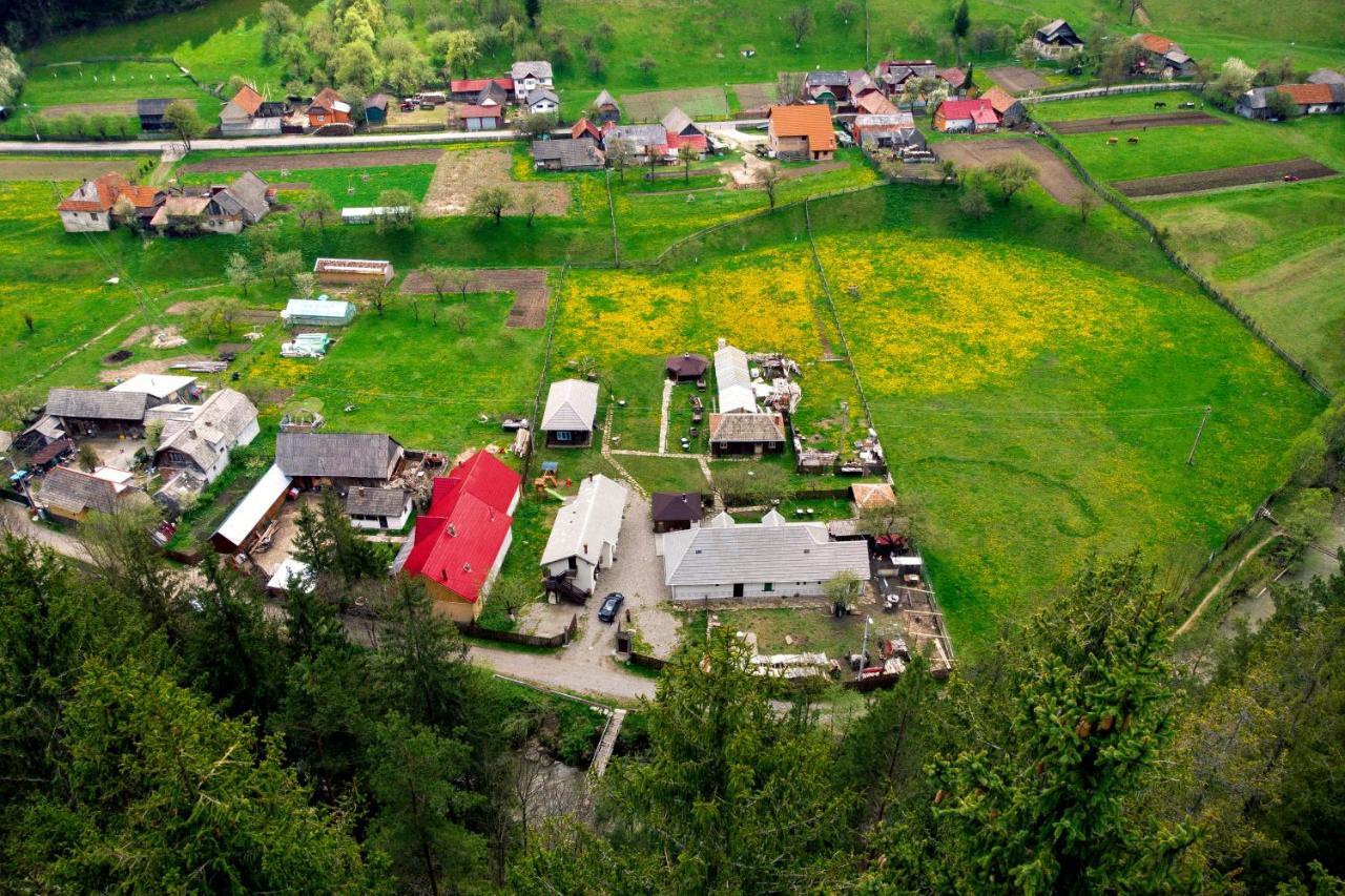 Gospodaria Lui Nea Ion Vama Buzăului Exterior photo